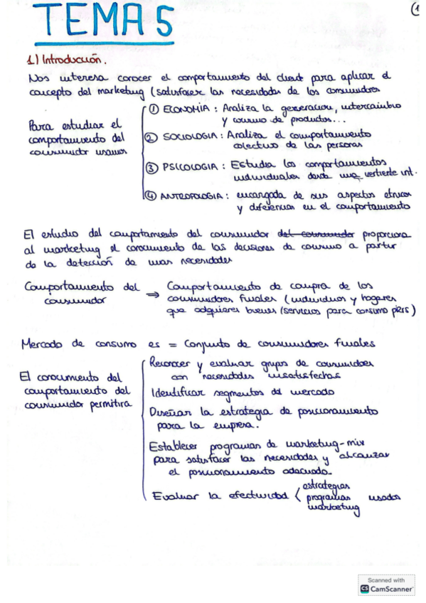 Miniatura del documento Apuntes-Marketing-T5.pdf