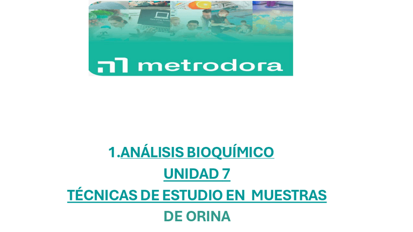 Miniatura del documento UD-7.1.pdf