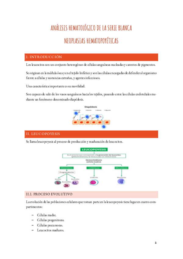 Miniatura del documento TEMA-5-HEMATO.pdf