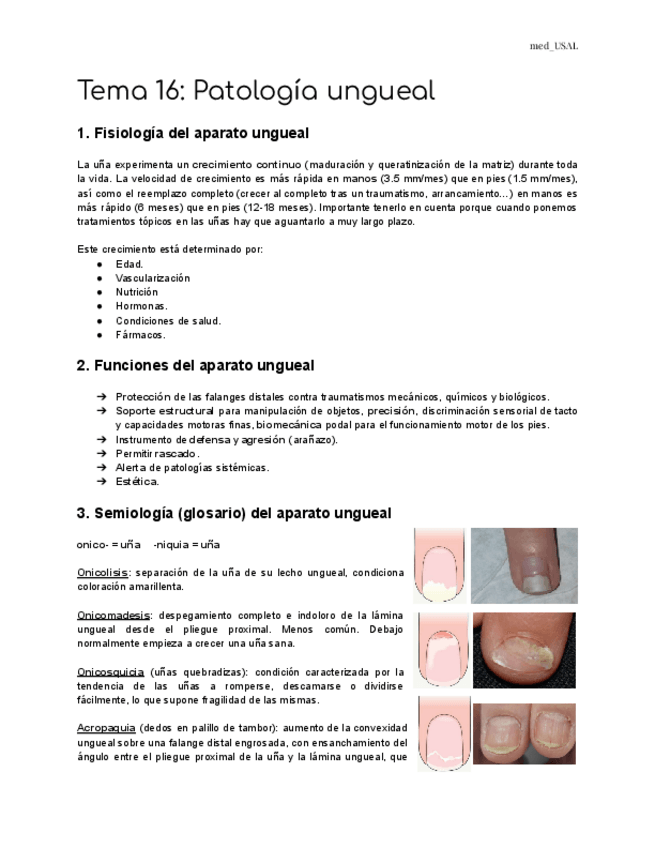 Miniatura del documento Tema-16-Patologia-ungueal.pdf