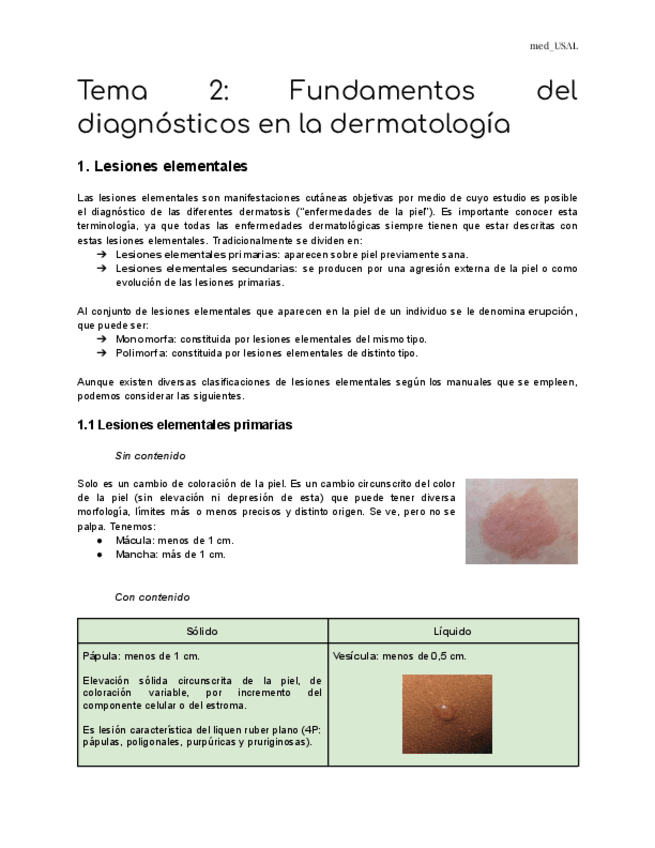 Miniatura del documento Tema-2-Fundamentos-del-diagnosticos-en-la-dermatologia.pdf