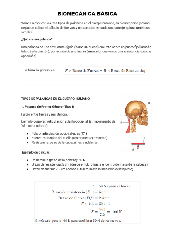 Miniatura del documento Biomecanica.pdf