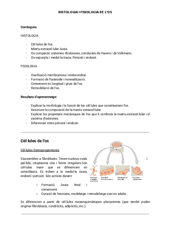 Miniatura del documento HISTO-I-FISIO-DEL-OS.pdf