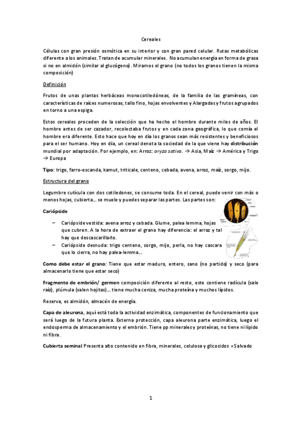 Miniatura del documento Tema-27-29-Cereales.pdf