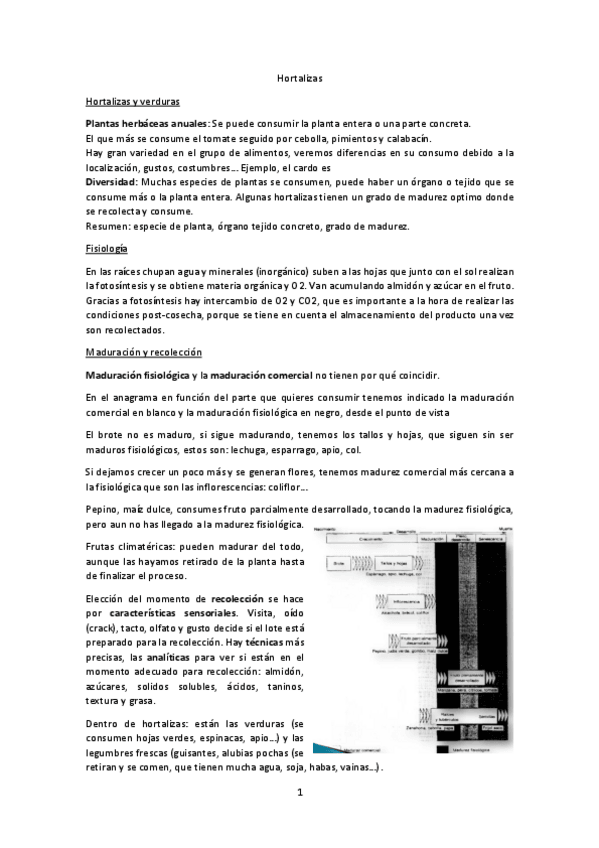 Miniatura del documento Tema-33-34-Hortalizas.pdf