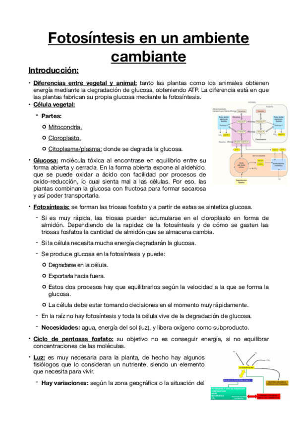 Miniatura del documento 1.-Fotosintesis-en-un-ambiente-cambiante.pdf
