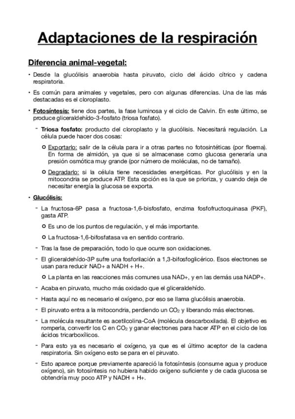 Miniatura del documento 2.-Respiracion-mitocondrial.pdf