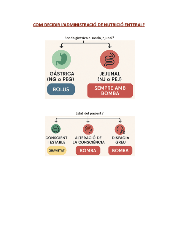 Miniatura del documento Com-decidir-quin-tipus-de-NE.pdf