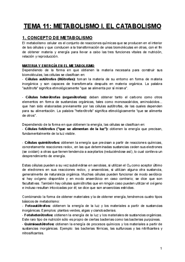 Miniatura del documento TEMA-11-METABOLISMO-I.-EL-CATABOLISMO.pdf