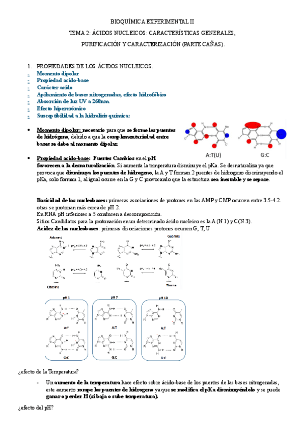 Miniatura del documento tema-2-BIOQUIMICA-EXPERIMENTAL-II-2024.2025.pdf
