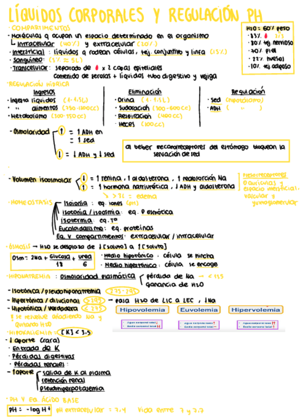 Miniatura del documento Liquidos-corporales-y-regulacion-pH.pdf
