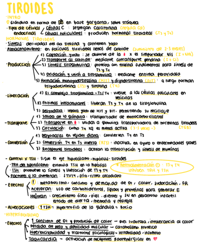 Miniatura del documento Tiroides.pdf