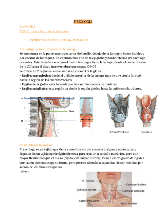 Miniatura del documento FISIOLOGIA-FONACION-PT1.pdf