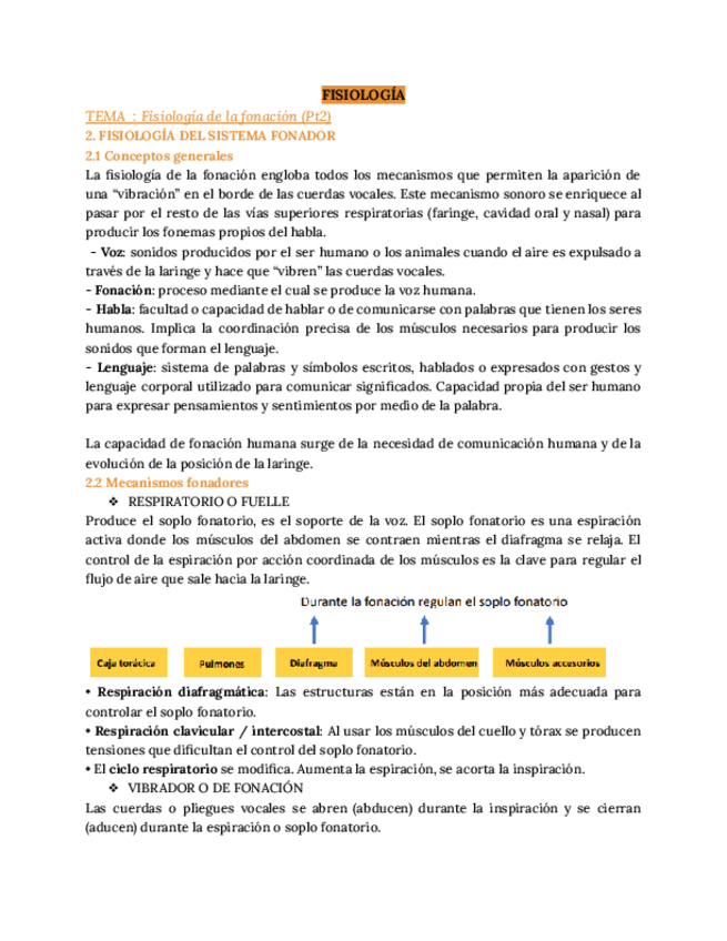 Miniatura del documento FISIOLOGIA-fonacion-PT2.pdf