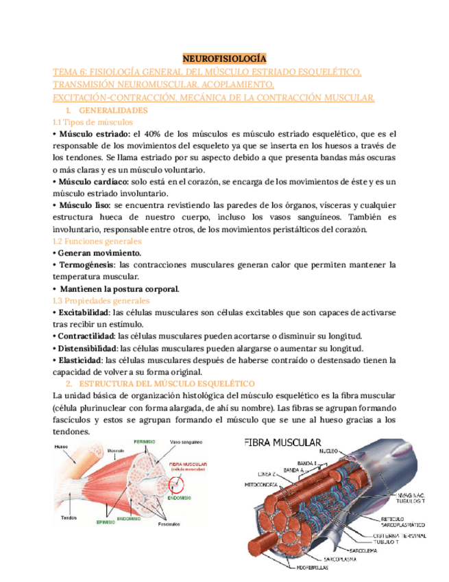 Miniatura del documento NEUROFISIOLOGIA-T6.pdf