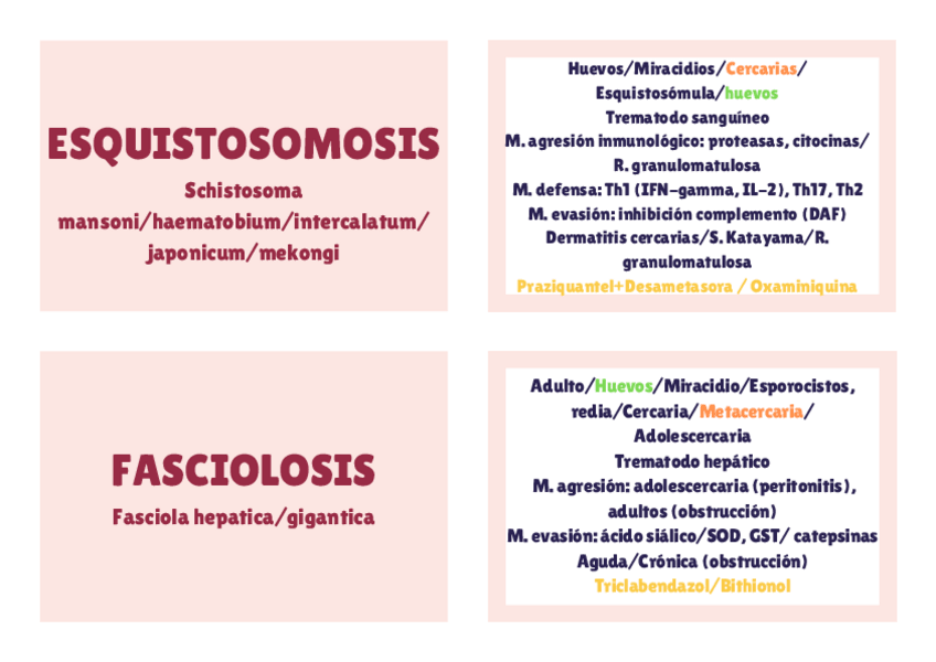 Miniatura del documento Platelmintos.-Trematodos.pdf
