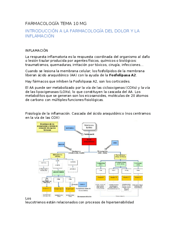 Miniatura del documento FARMACOLOGIA-TEMA-10-MG..docx