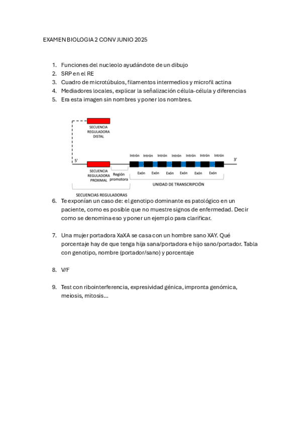 Miniatura del documento Junio-2025.pdf