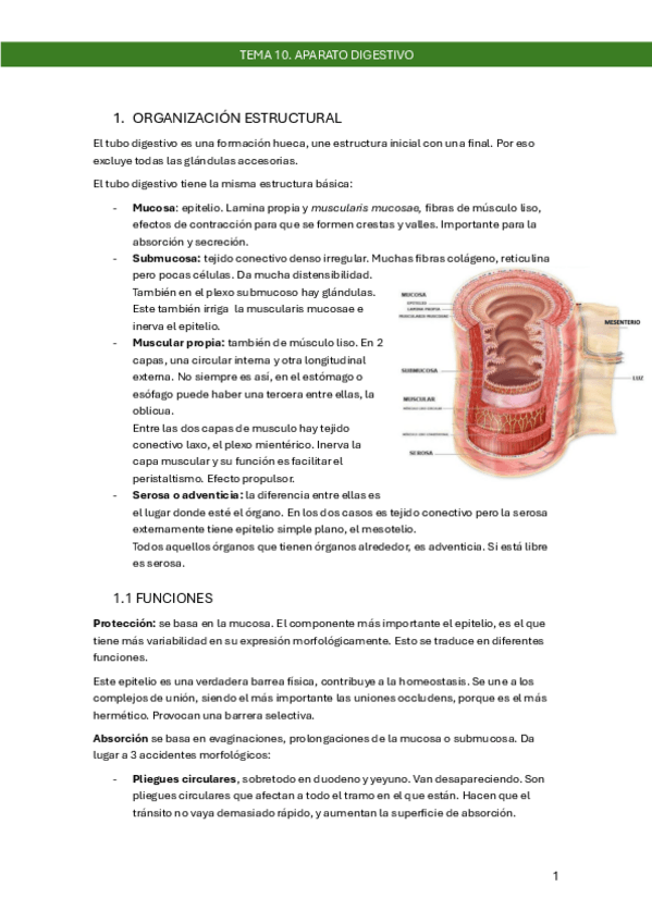 Miniatura del documento segundo-parcial.pdf
