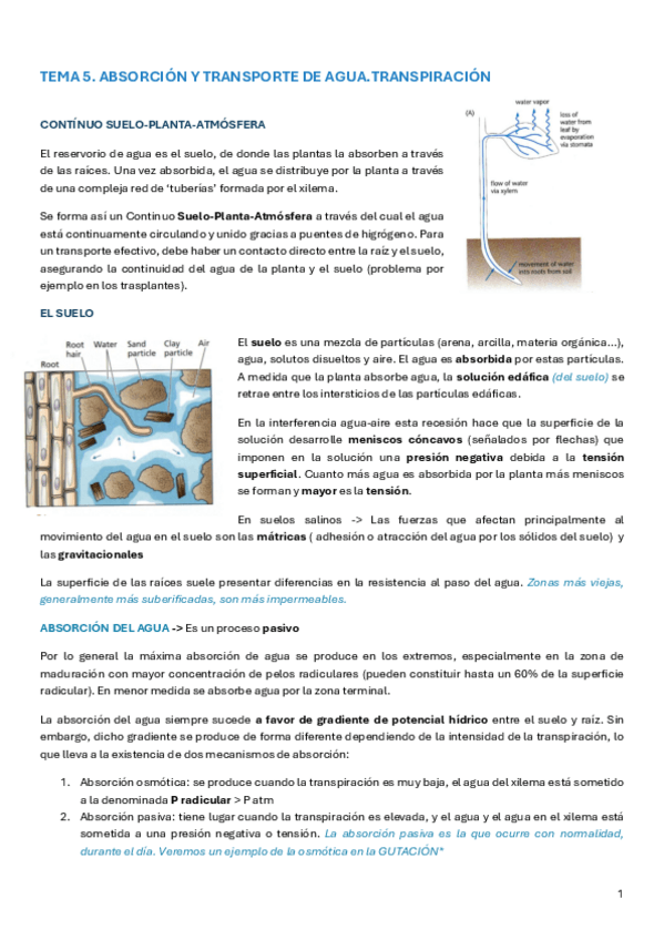 Miniatura del documento PARCIAL-2-FV.pdf