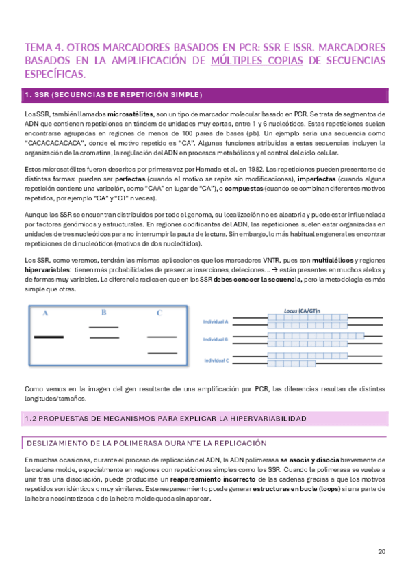 Miniatura del documento PARCIAL-2-MM.pdf