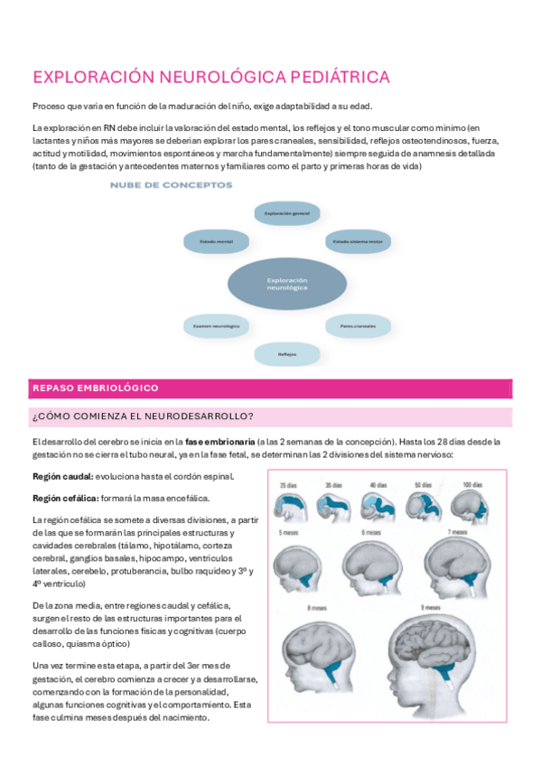 Miniatura del documento EXPLORACION-NEUROLOGICA-PEDIATRICA.pdf