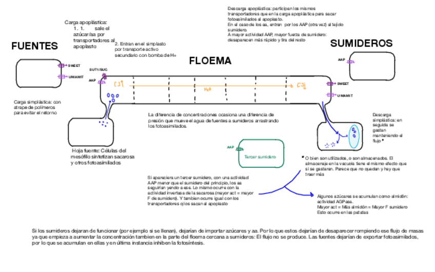 Miniatura del documento Esquema-resumen-tema-8.pdf