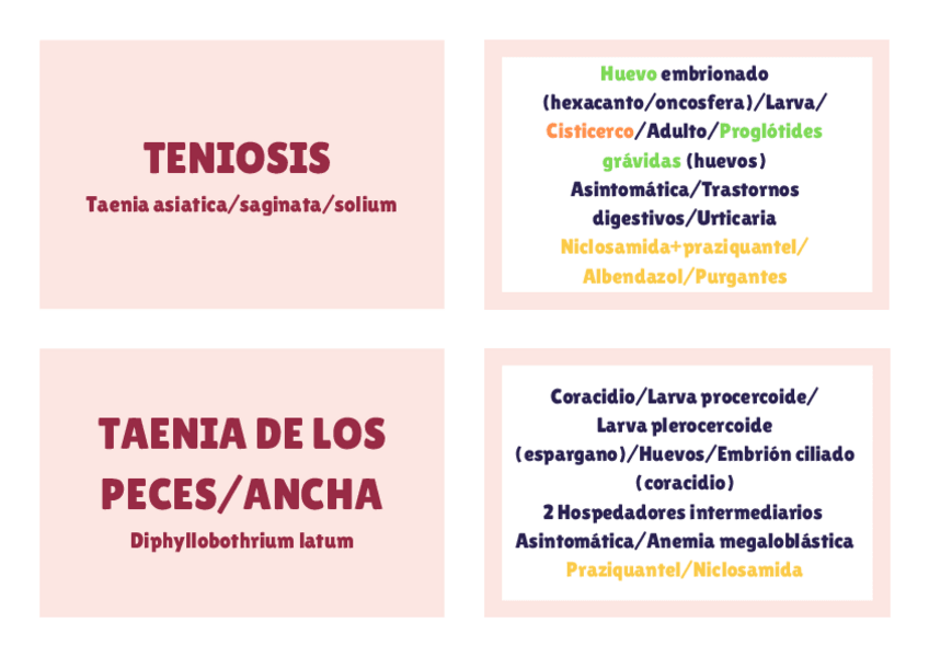 Miniatura del documento Platelmintos.-Cestodos.pdf