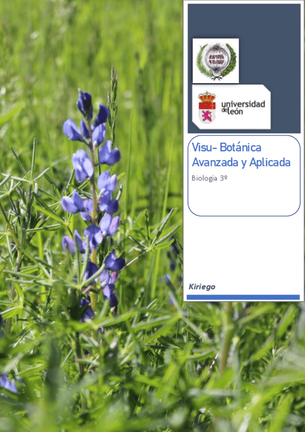 Miniatura del documento VisuBotanicaAvanzadayAplicadaBiologia3o.pdf