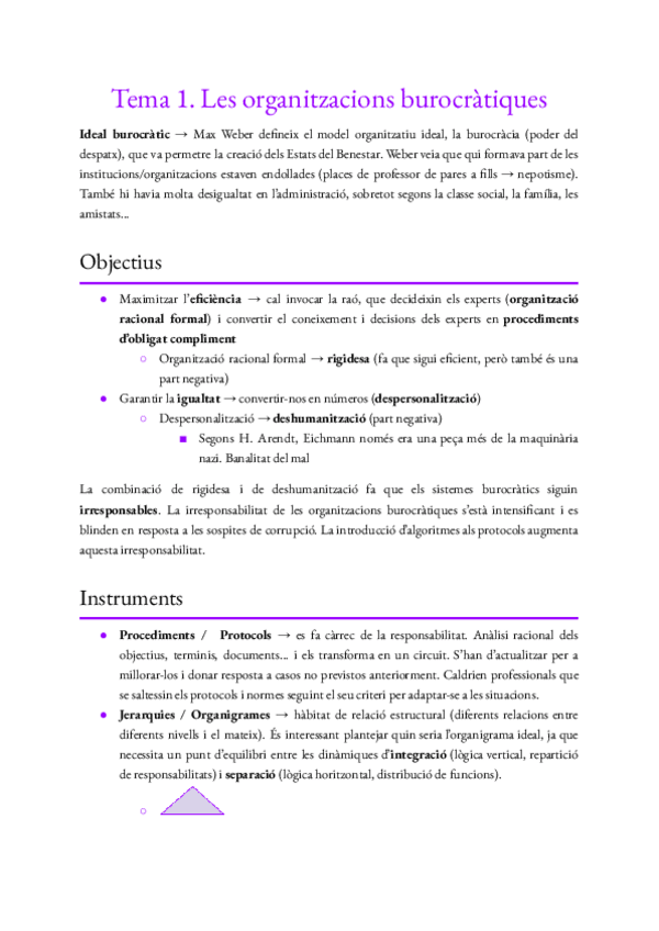 Miniatura del documento Apunts-TPO.pdf