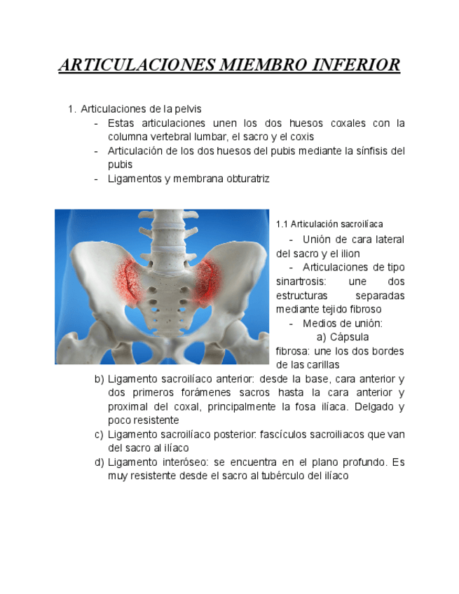 Miniatura del documento Tema-14.-Articulaciones-MMII.pdf