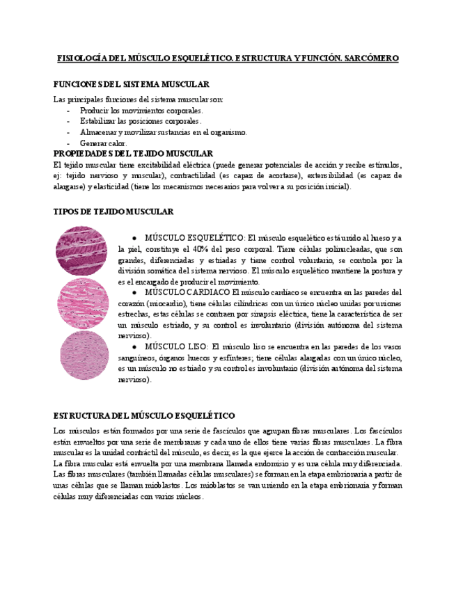 Miniatura del documento Tema-8-Fisiologia-del-musculo-esqueletico.pdf