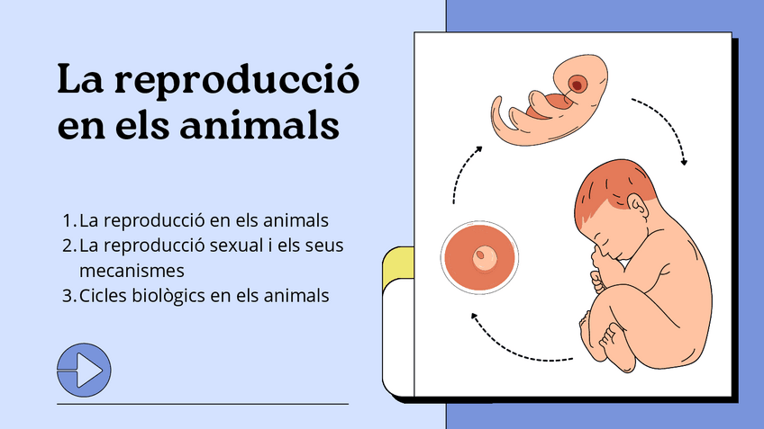 Miniatura del documento La-reproduccio-en-els-animals.pdf