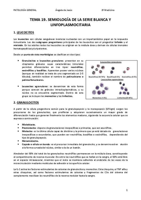 Miniatura del documento Tema 19. Semiología de la serie blanca y linfoplasmocitaria.pdf