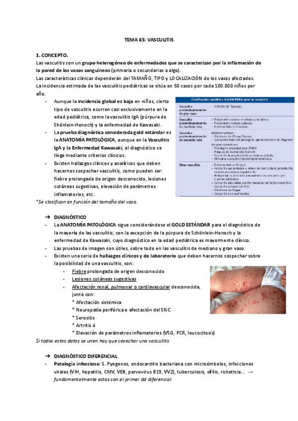 Miniatura del documento TEMA-65-VASCULITIS.pdf