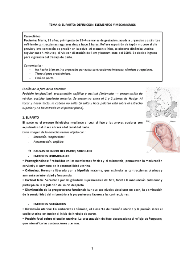 Miniatura del documento TEMA-6-PARTO.pdf