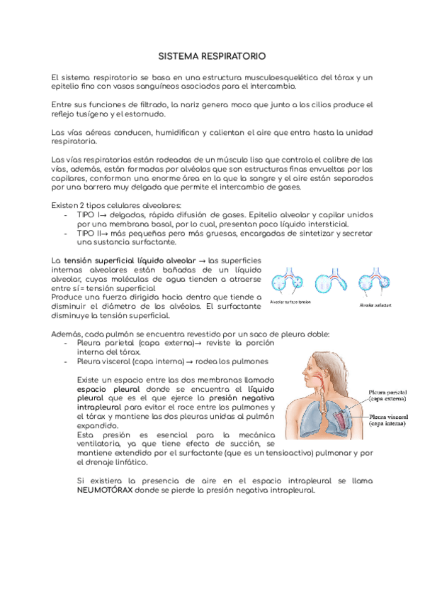 Miniatura del documento SISTEMA-RESPIRATORIO.pdf