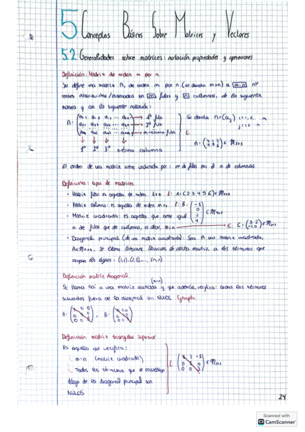 Miniatura del documento Apuntes-de-Clase-Tema-56-y-7-Prof.-Maria-Victoria--Relacion-de-Ejercicios-or-Ideal-para-Examen-.pdf