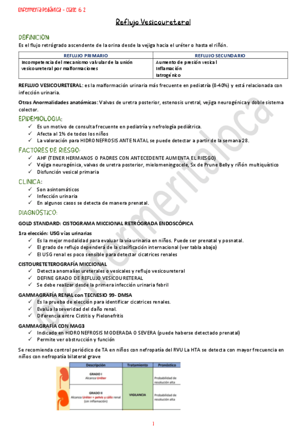 Miniatura del documento Enfermeria-Pediatrica-clase-6.2.pdf