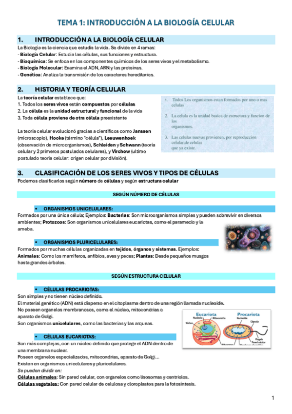 Miniatura del documento TEMA-1-intro-biologia.pdf