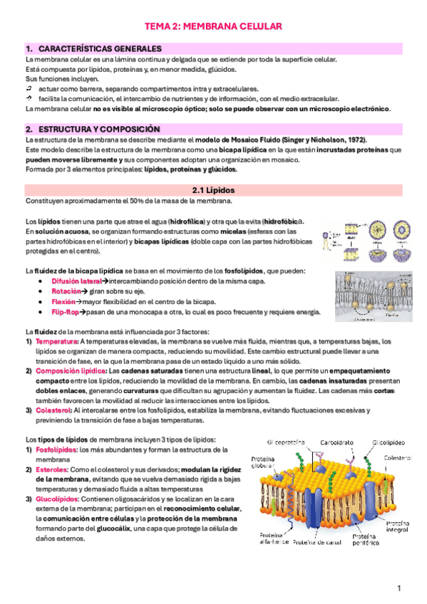 Miniatura del documento TEMA-2-membrana-plasmatica.pdf