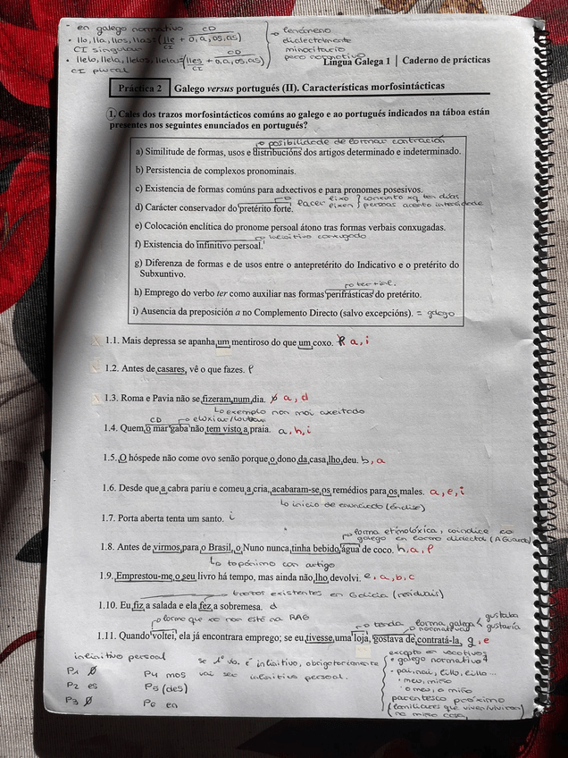 Miniatura del documento Reforzo.JPG