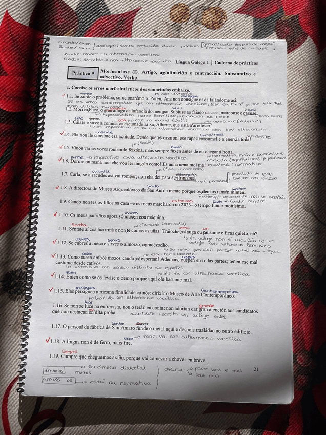 Miniatura del documento Reforzo.JPG