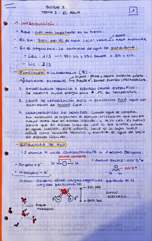 Miniatura del documento tema-2-resumen-AGUA.pdf