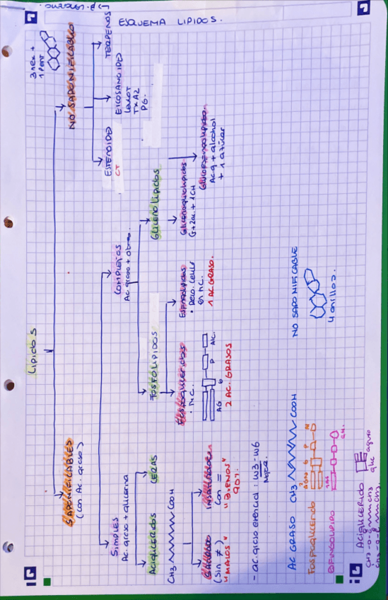 Miniatura del documento tema-4-resumen-LIPIDOS.pdf
