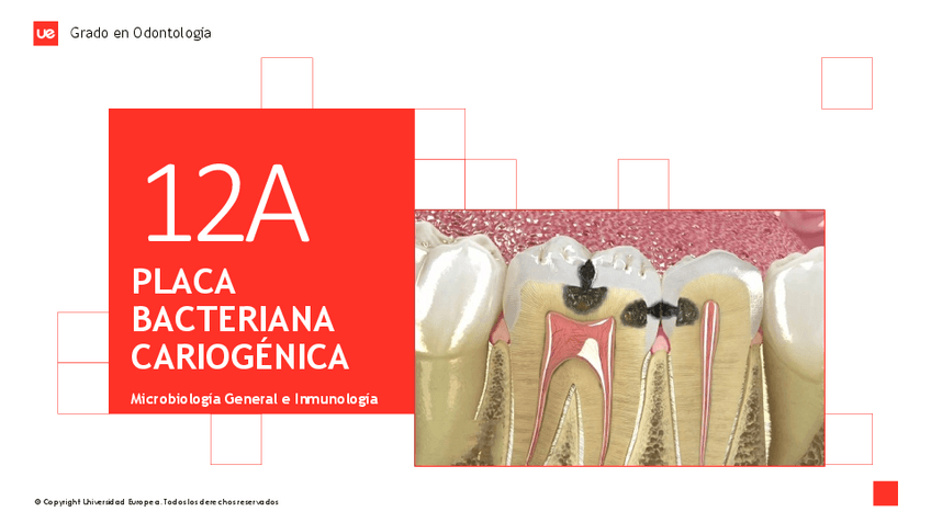 Miniatura del documento Tema-12A.-Placa-bacteriana-cariogenica.pdf