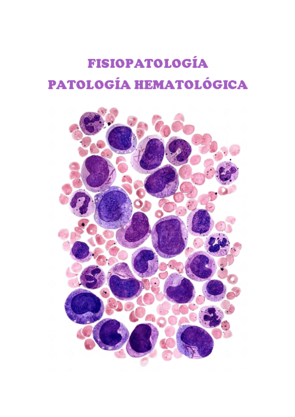 Miniatura del documento HEMATOLOGIA-FISIOPATO.pdf