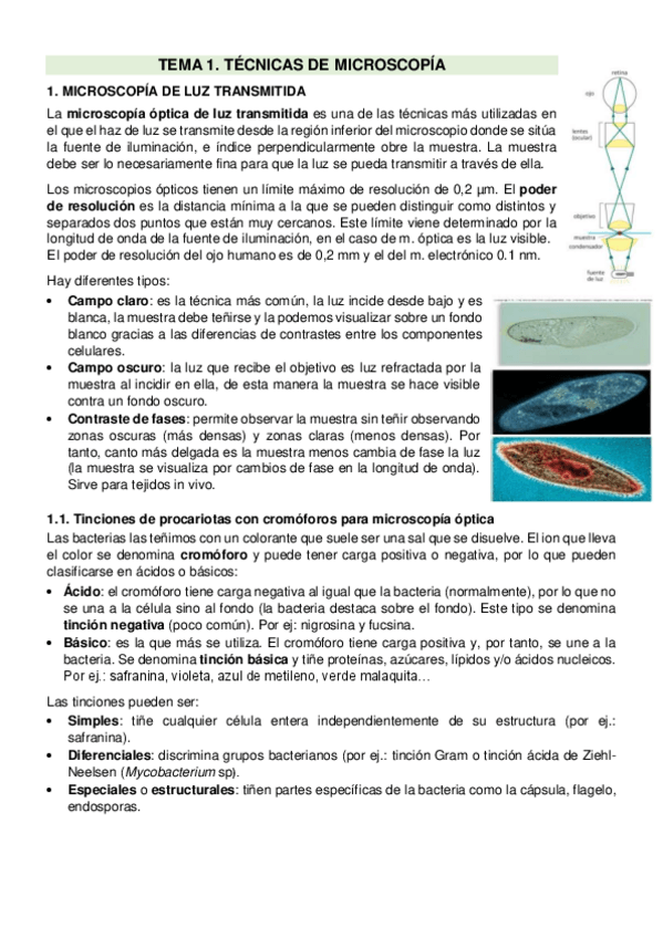 Miniatura del documento TEFApuntes.pdf