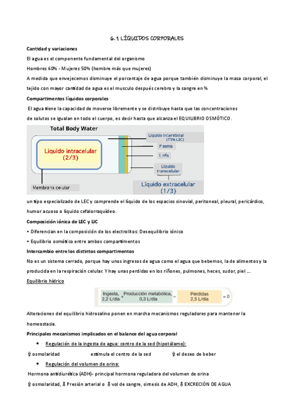 Miniatura del documento 6-fisiologia.pdf