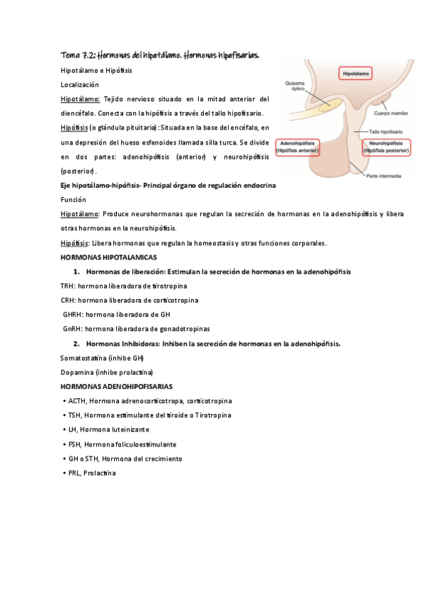 Miniatura del documento fisio-7.pdf
